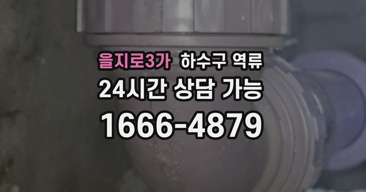 을지로3가 하수구 역류