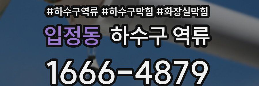 입정동 하수구 역류
