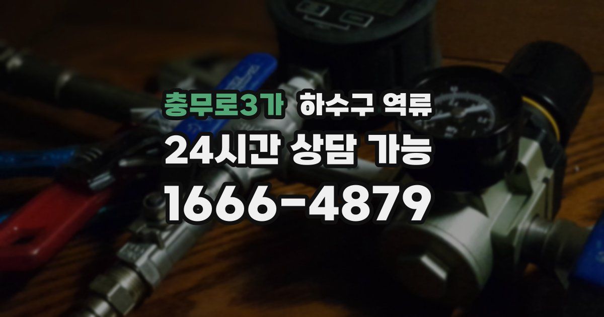 충무로3가 하수구 역류