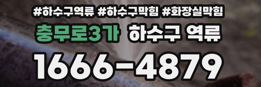 충무로3가 하수구 역류