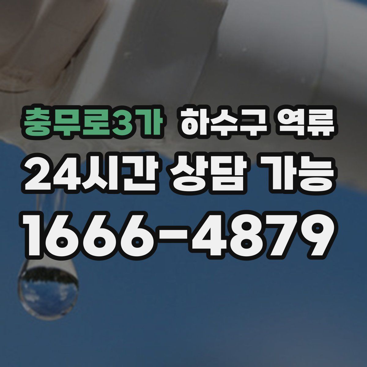 충무로3가 하수구 역류