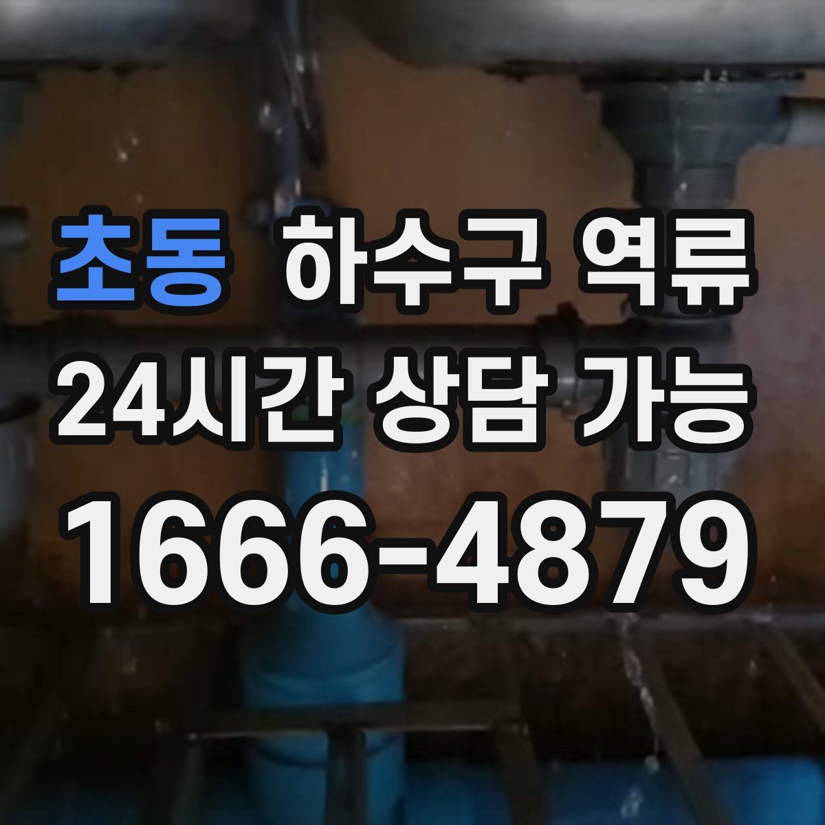 초동 하수구 역류