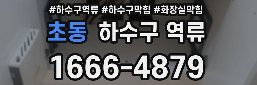 초동 하수구 역류