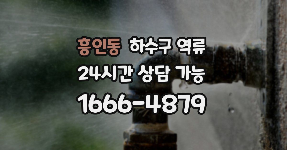 흥인동 하수구 역류