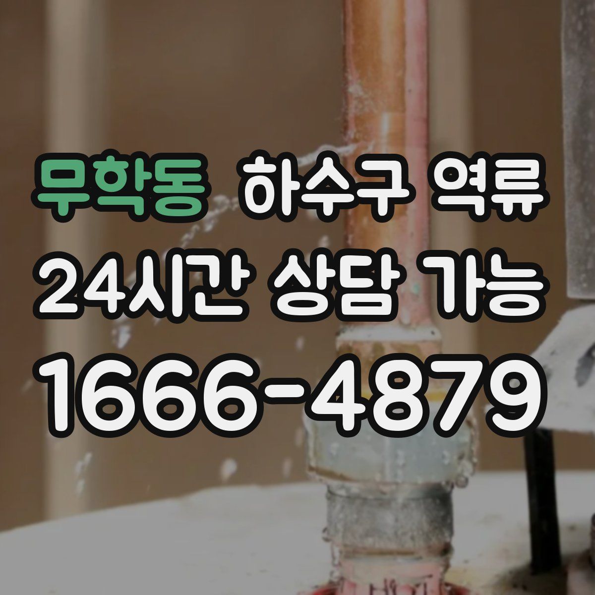 무학동 하수구 역류