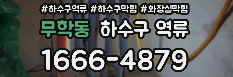 무학동 하수구 역류