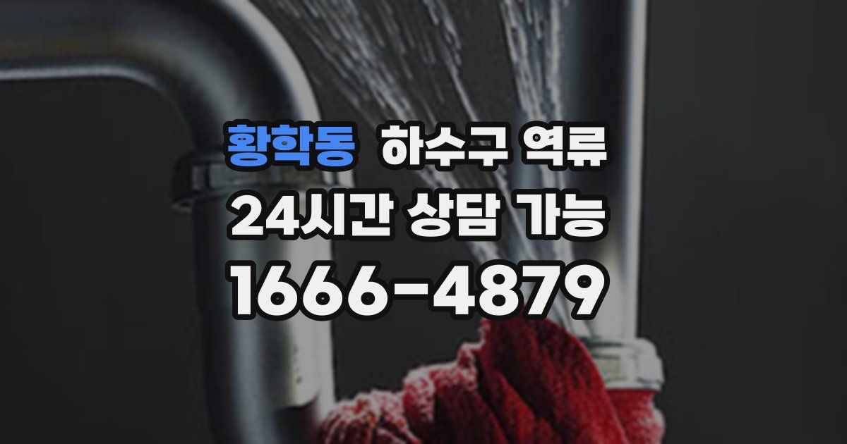 황학동 하수구 역류