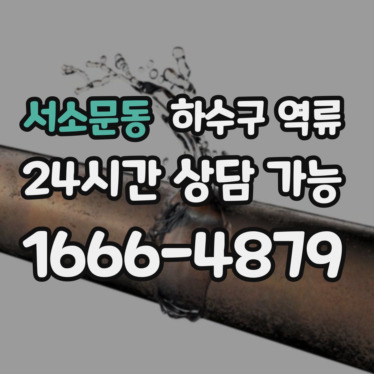 서소문동 하수구 역류