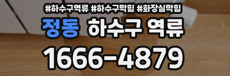 정동 하수구 역류