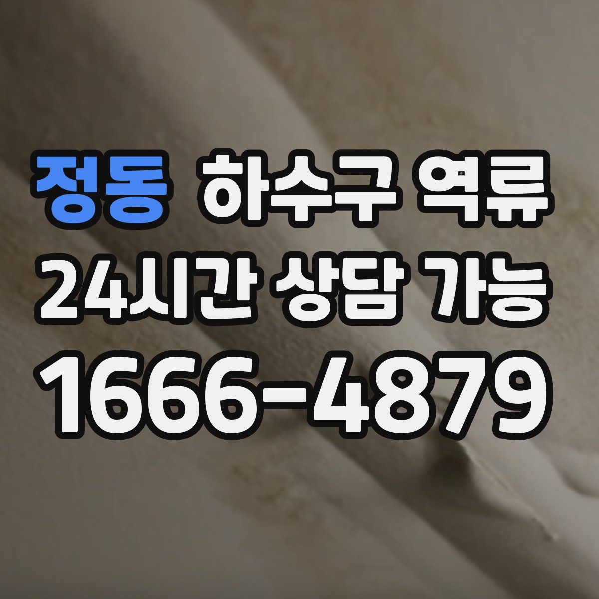 정동 하수구 역류