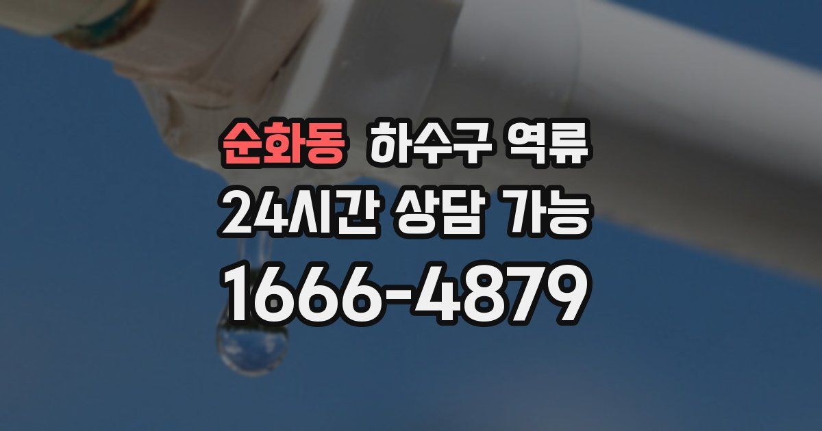 순화동 하수구 역류