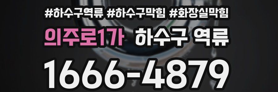 의주로1가 하수구 역류