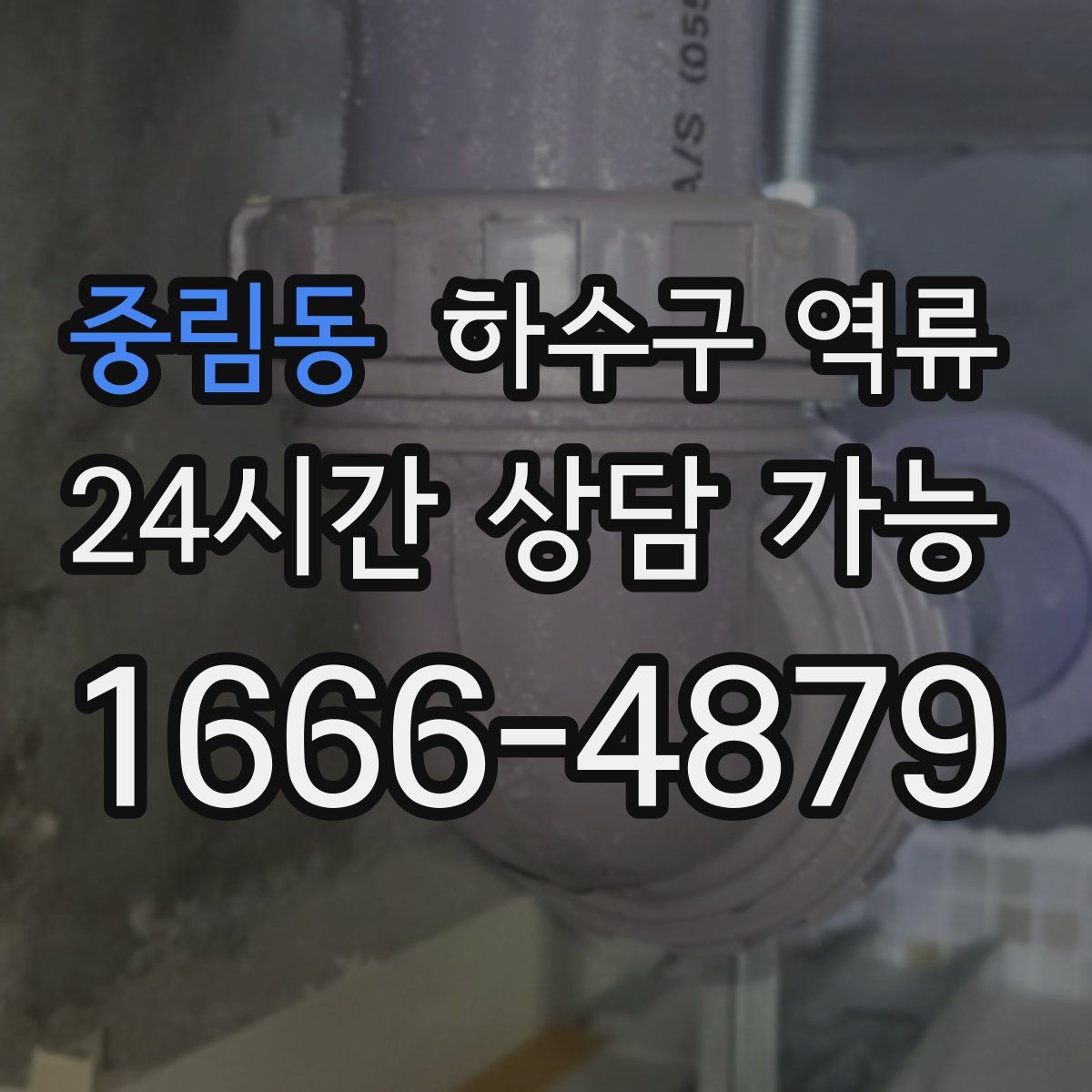 중림동 하수구 역류