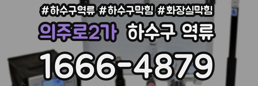 의주로2가 하수구 역류