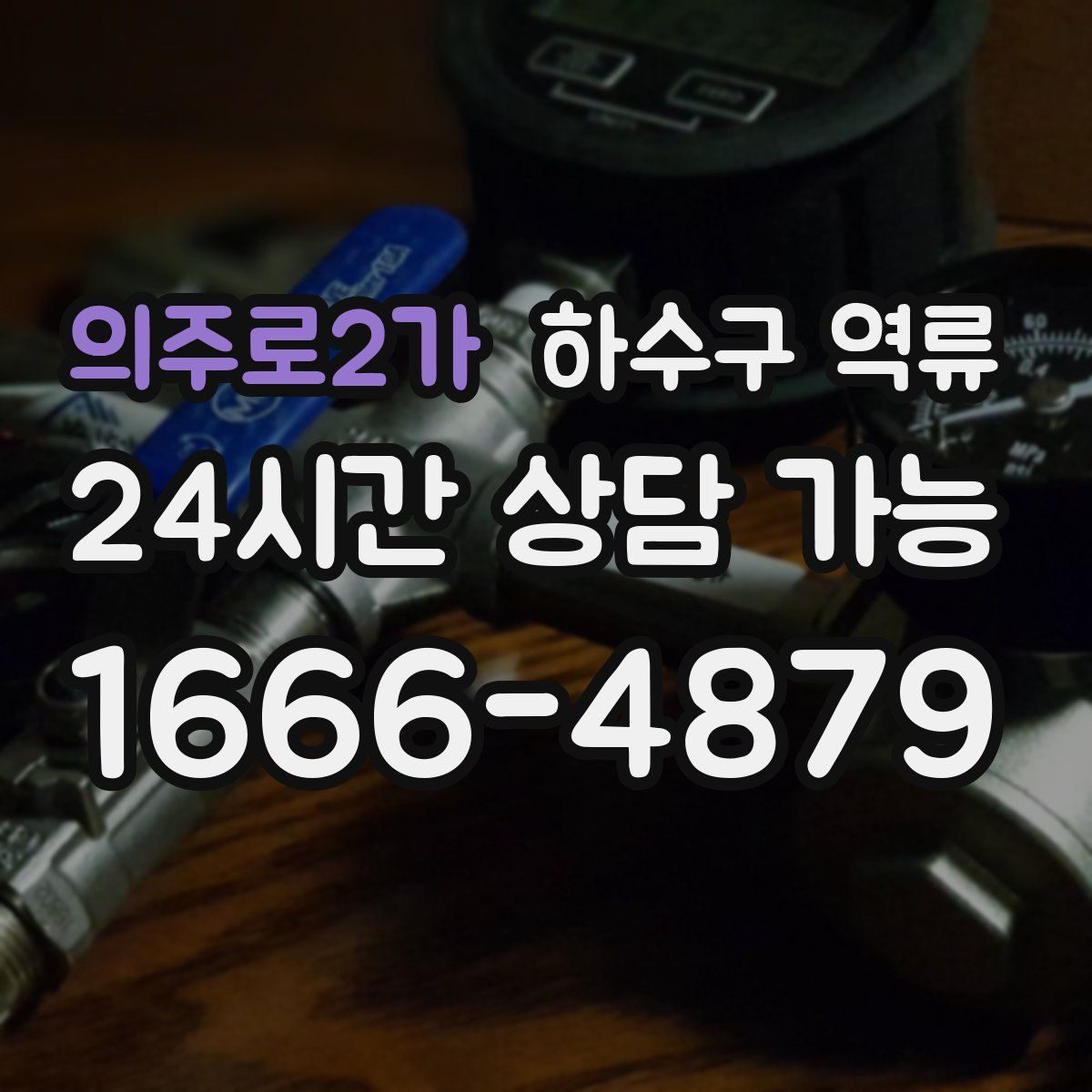 의주로2가 하수구 역류