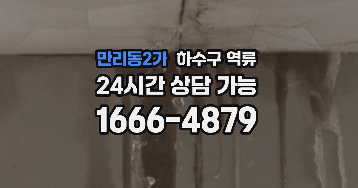만리동2가 하수구 역류
