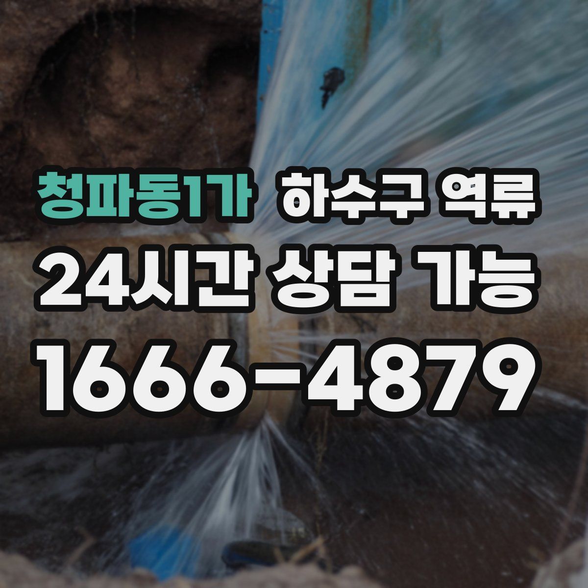 청파동1가 하수구 역류