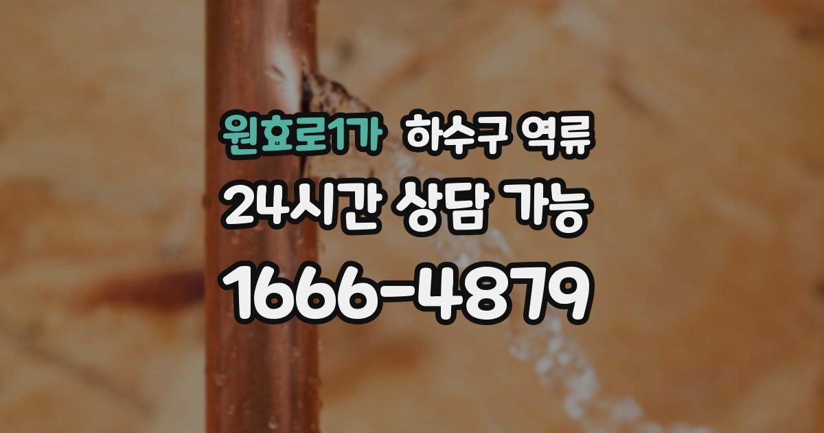 원효로1가 하수구 역류