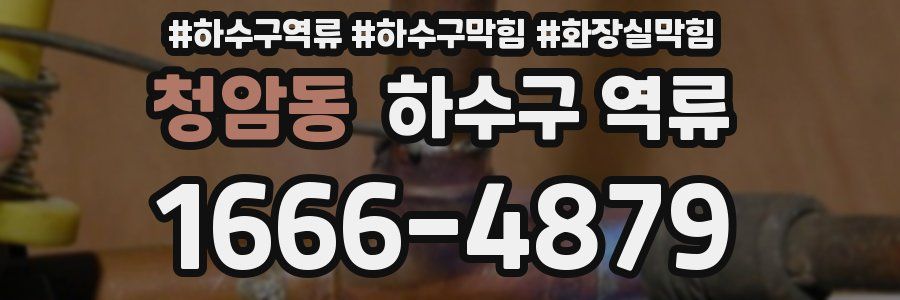 청암동 하수구 역류