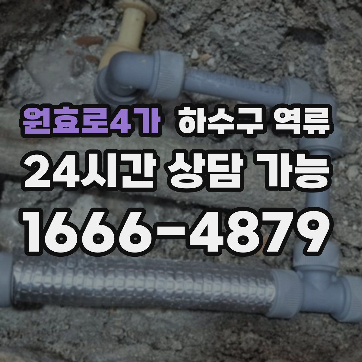 원효로4가 하수구 역류