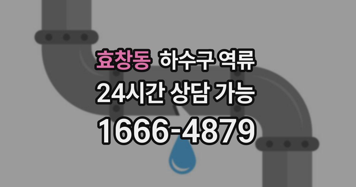 효창동 하수구 역류