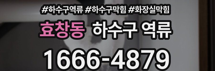 효창동 하수구 역류