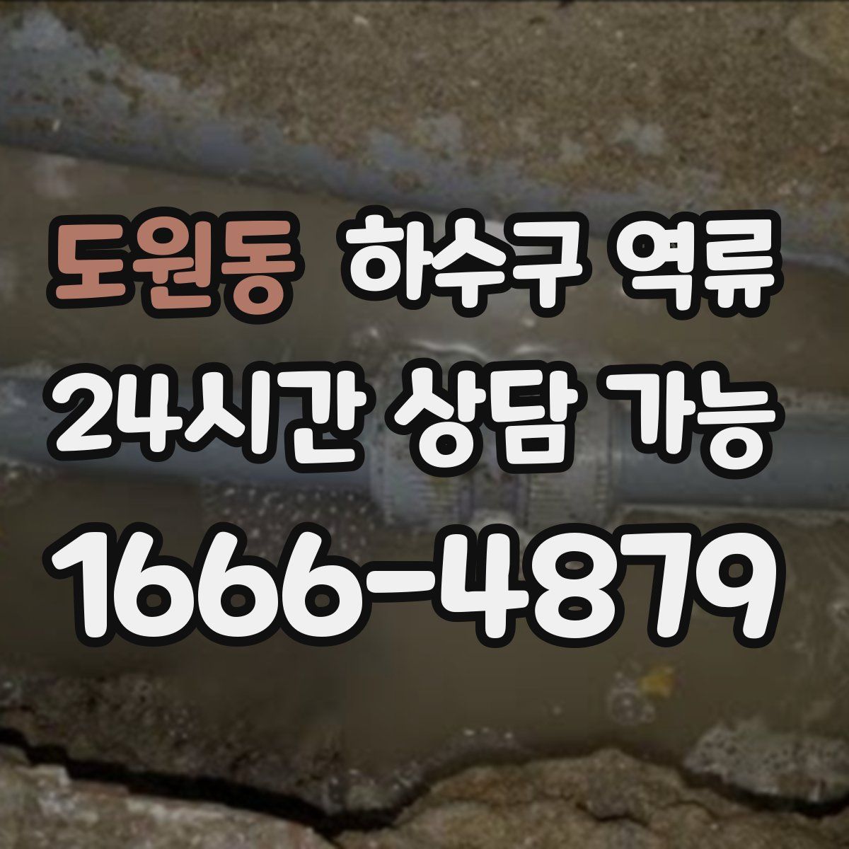 도원동 하수구 역류