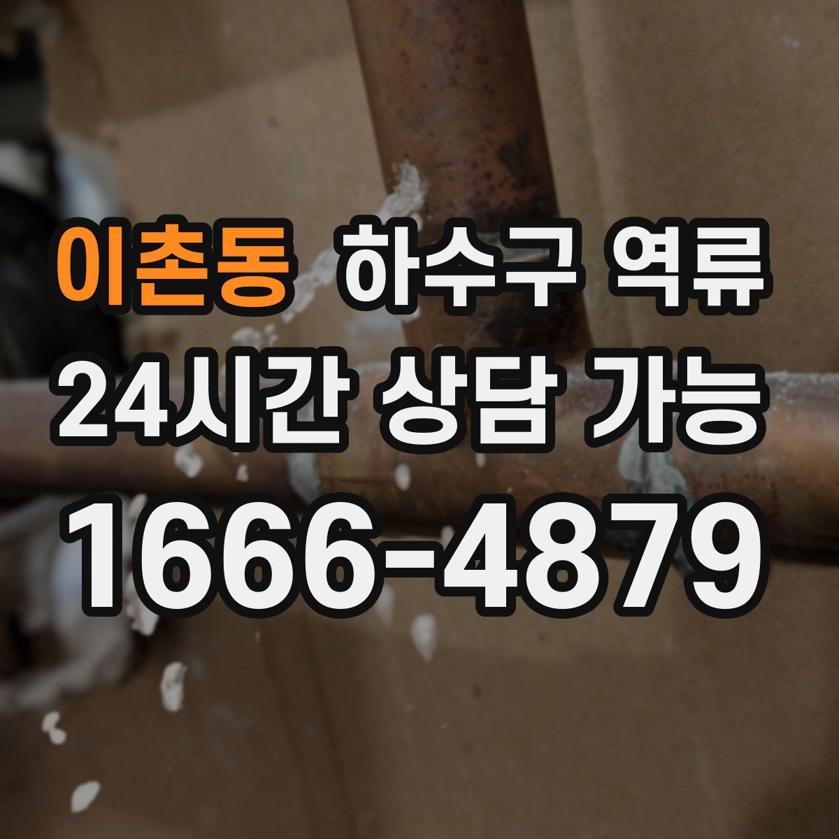 이촌동 하수구 역류