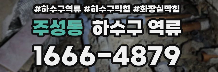 주성동 하수구 역류