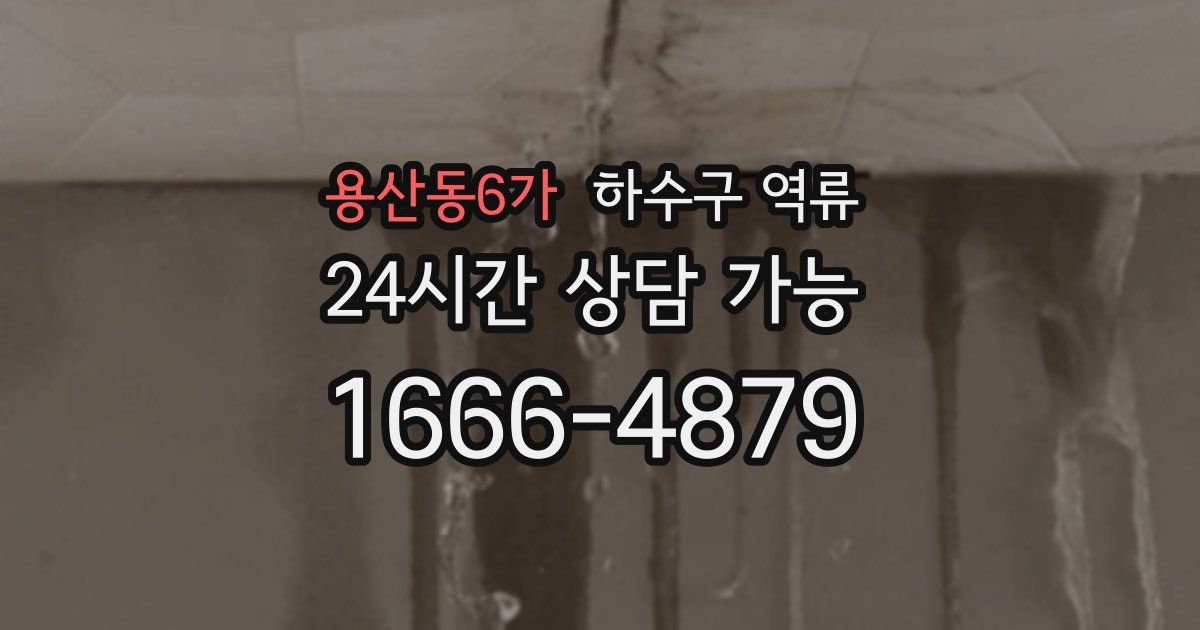 용산동6가 하수구 역류