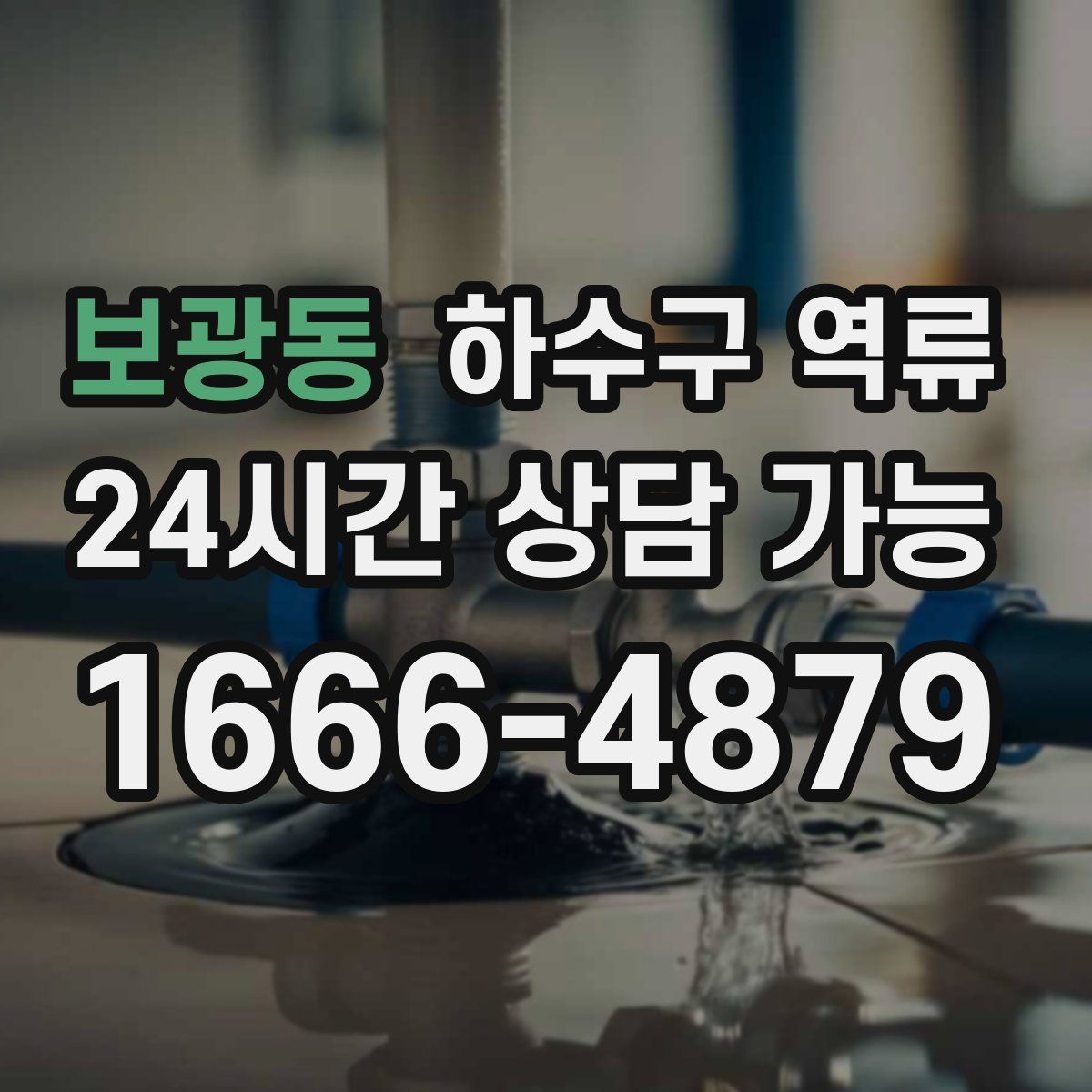 보광동 하수구 역류