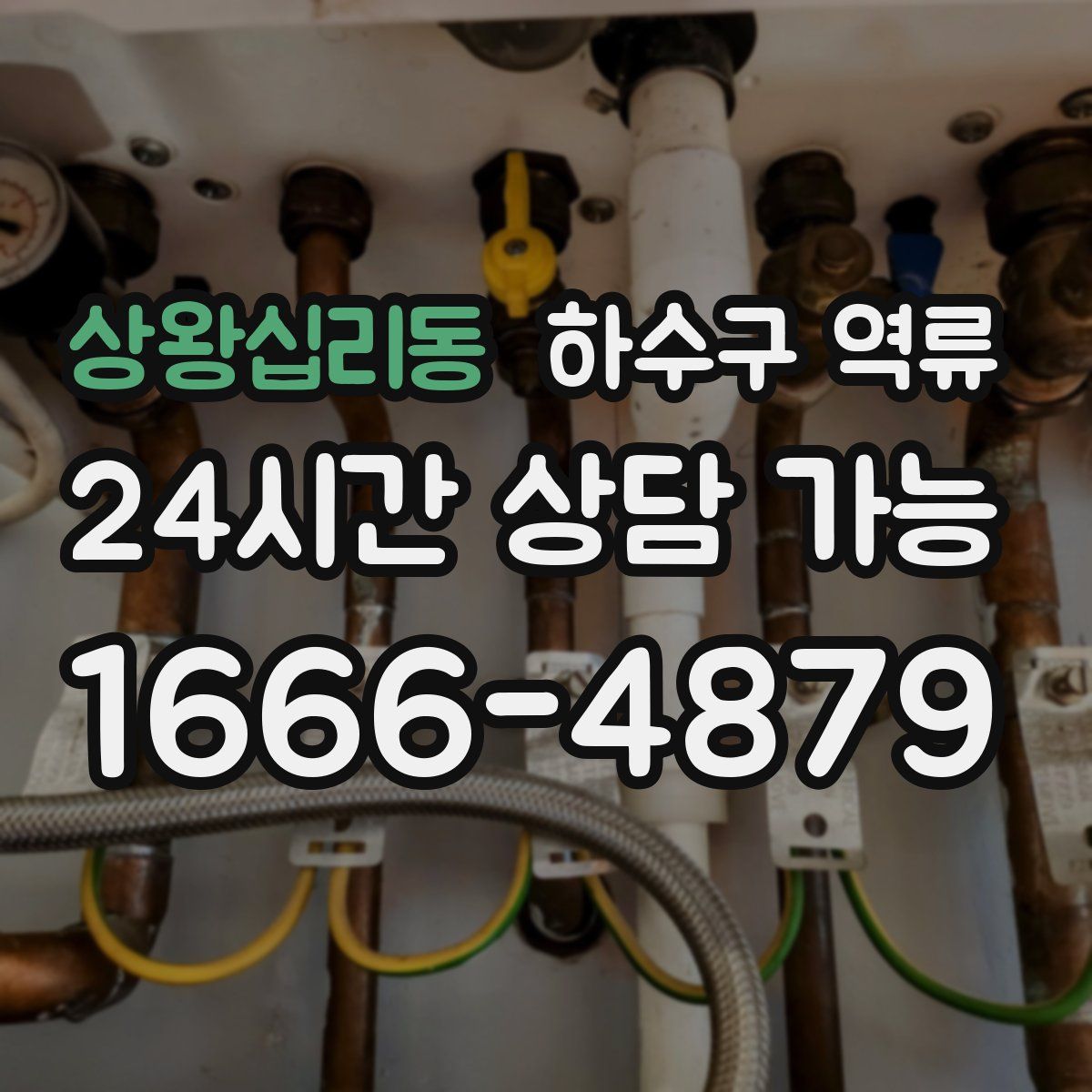 상왕십리동 하수구 역류