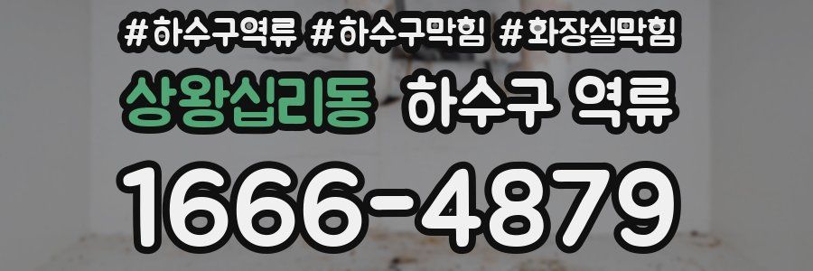 상왕십리동 하수구 역류