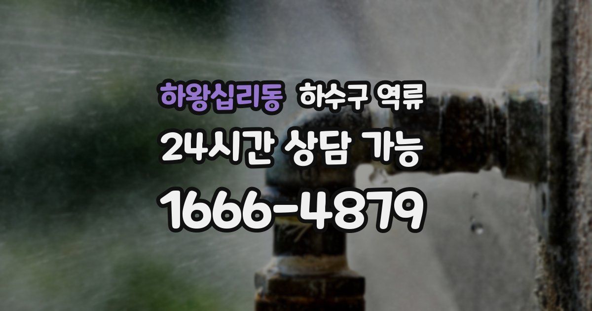 하왕십리동 하수구 역류