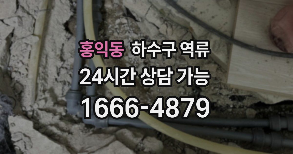 홍익동 하수구 역류
