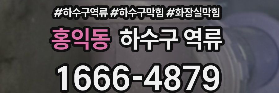 홍익동 하수구 역류