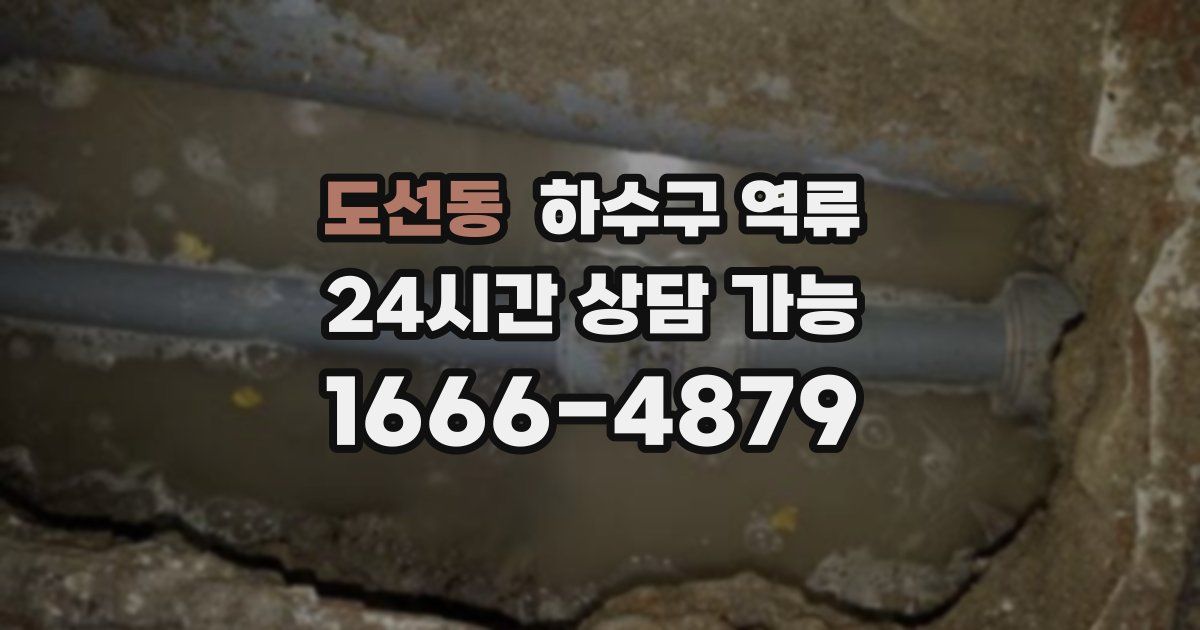 도선동 하수구 역류