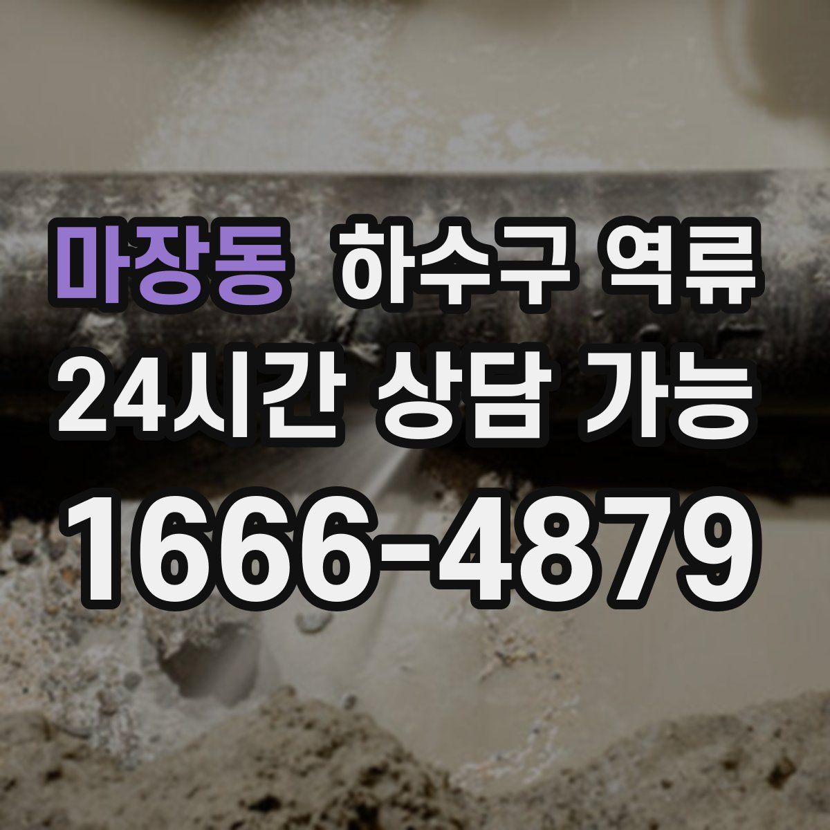 마장동 하수구 역류