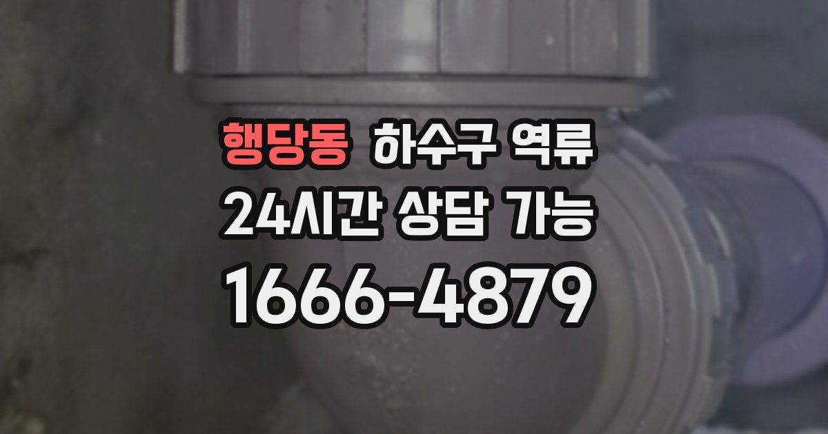 행당동 하수구 역류