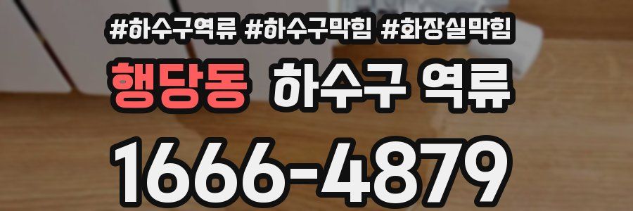 행당동 하수구 역류