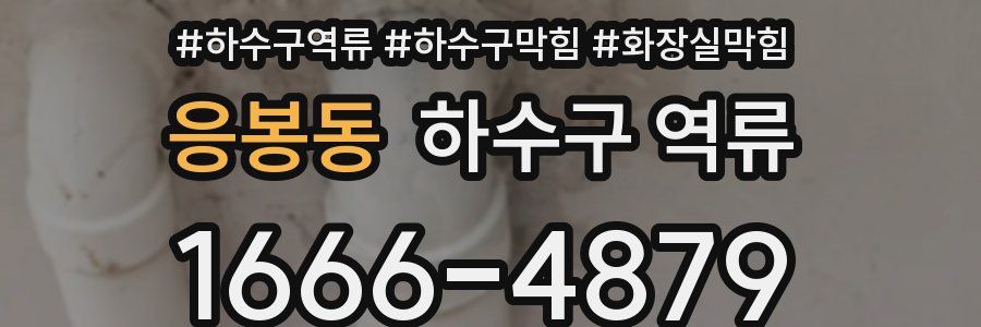 응봉동 하수구 역류