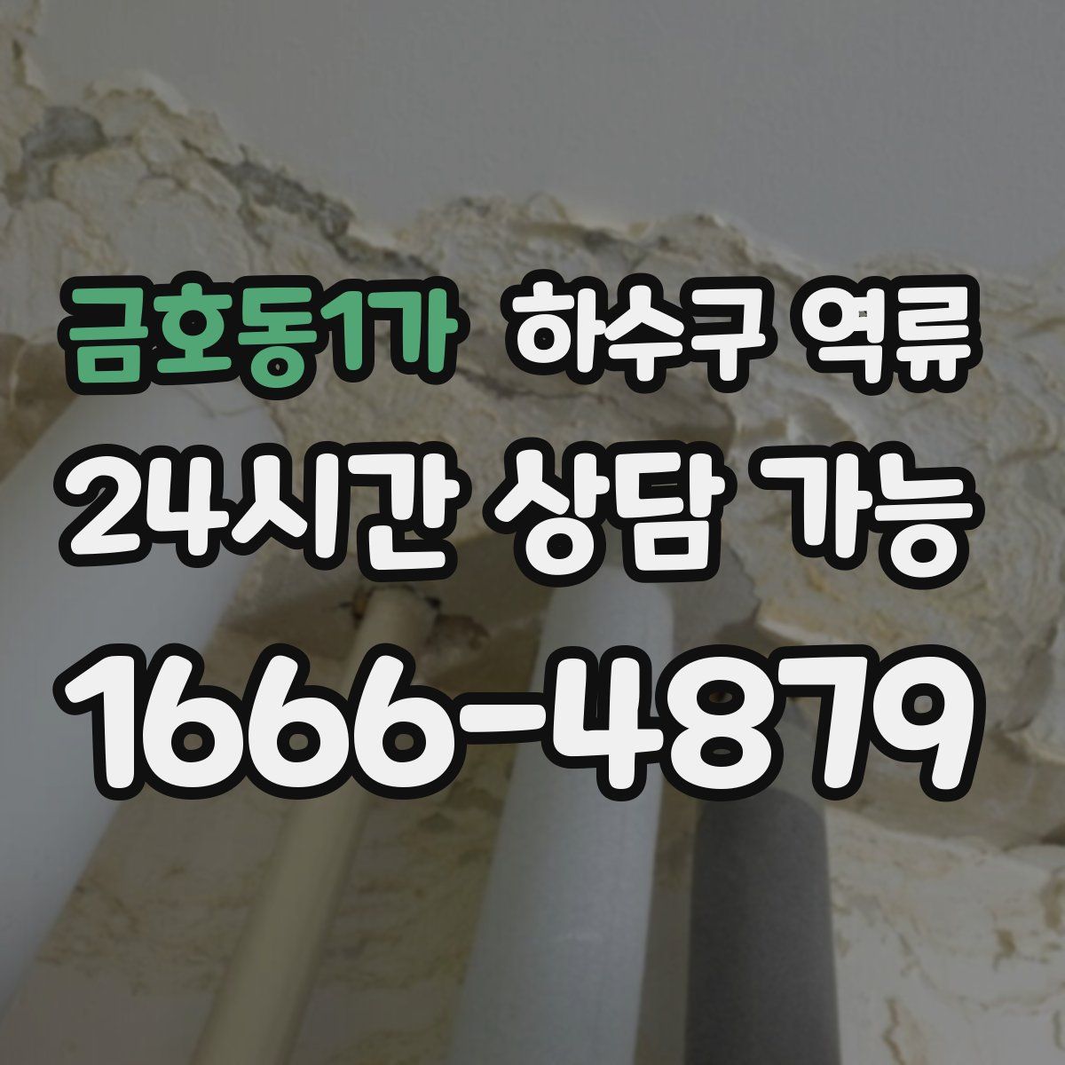 금호동1가 하수구 역류