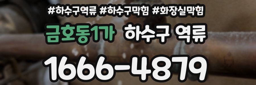 금호동1가 하수구 역류