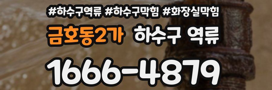 금호동2가 하수구 역류