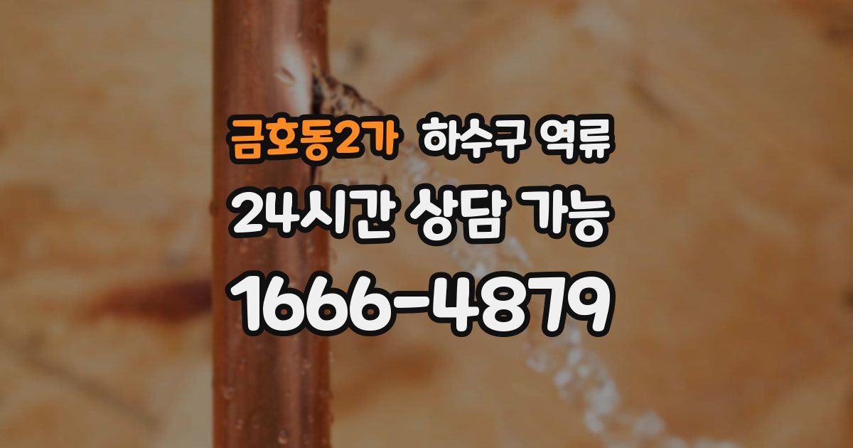 금호동2가 하수구 역류