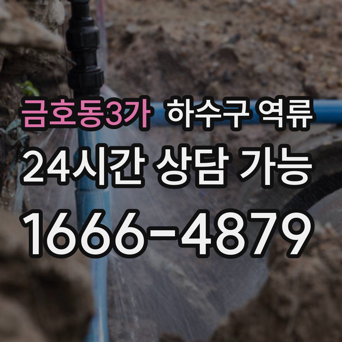 금호동3가 하수구 역류