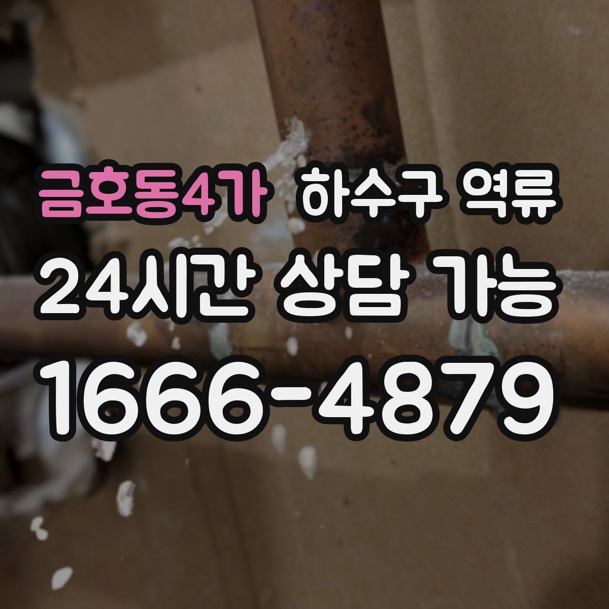 금호동4가 하수구 역류