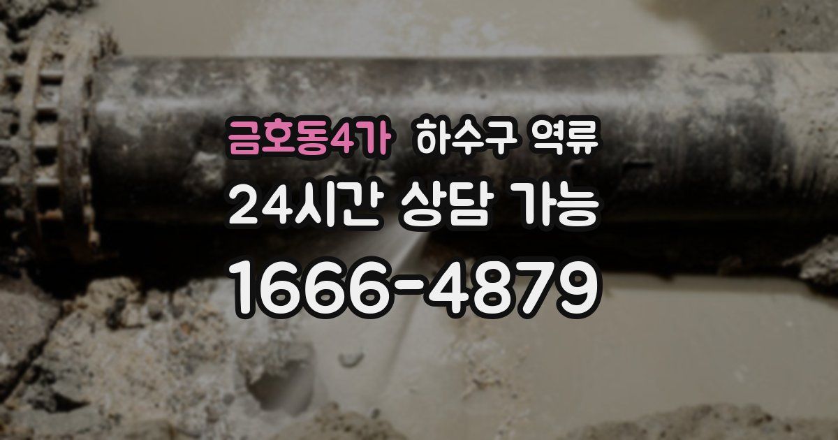 금호동4가 하수구 역류