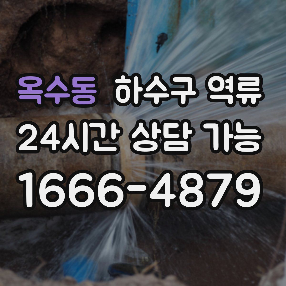 옥수동 하수구 역류