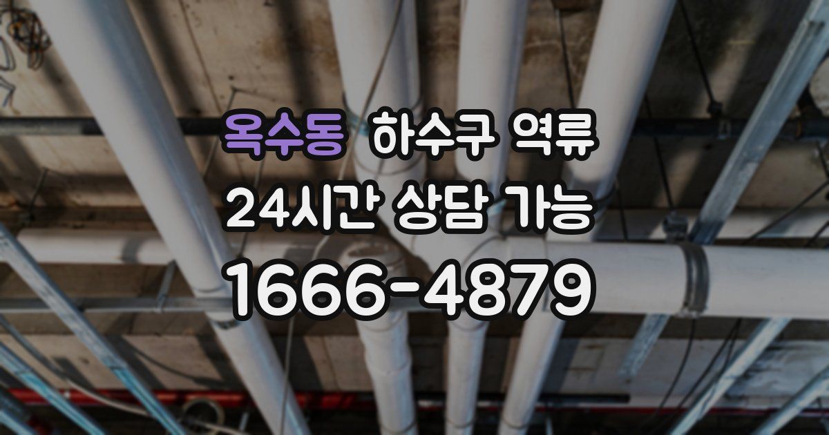 옥수동 하수구 역류